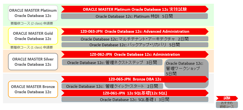 ORACLE MASTER Oracle Database 12c̐VK擾pX