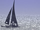 news089.jpg