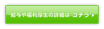 ���^�╟�������̏ڍׂ́A�R�`��