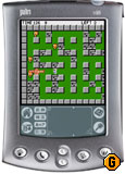 Palm01.jpg