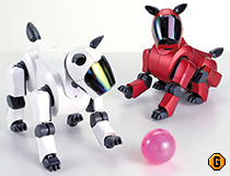 aibo01.jpg