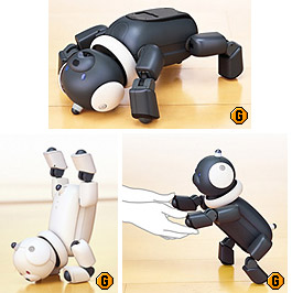 aibo03.jpg