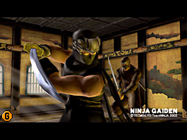 ninja01.jpg