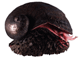 news023.gif