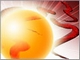 news052.jpg