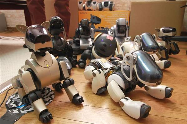 製造元・ソニーに捨てられたロボット犬「AIBO」……“治療”にあたる元エンジニア集団の“使命感” (1/5) - ITmedia ニュース