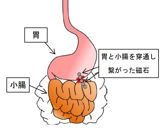 HuV[YXbh 7738/7738v 	YouTube>4{ ->摜>214 