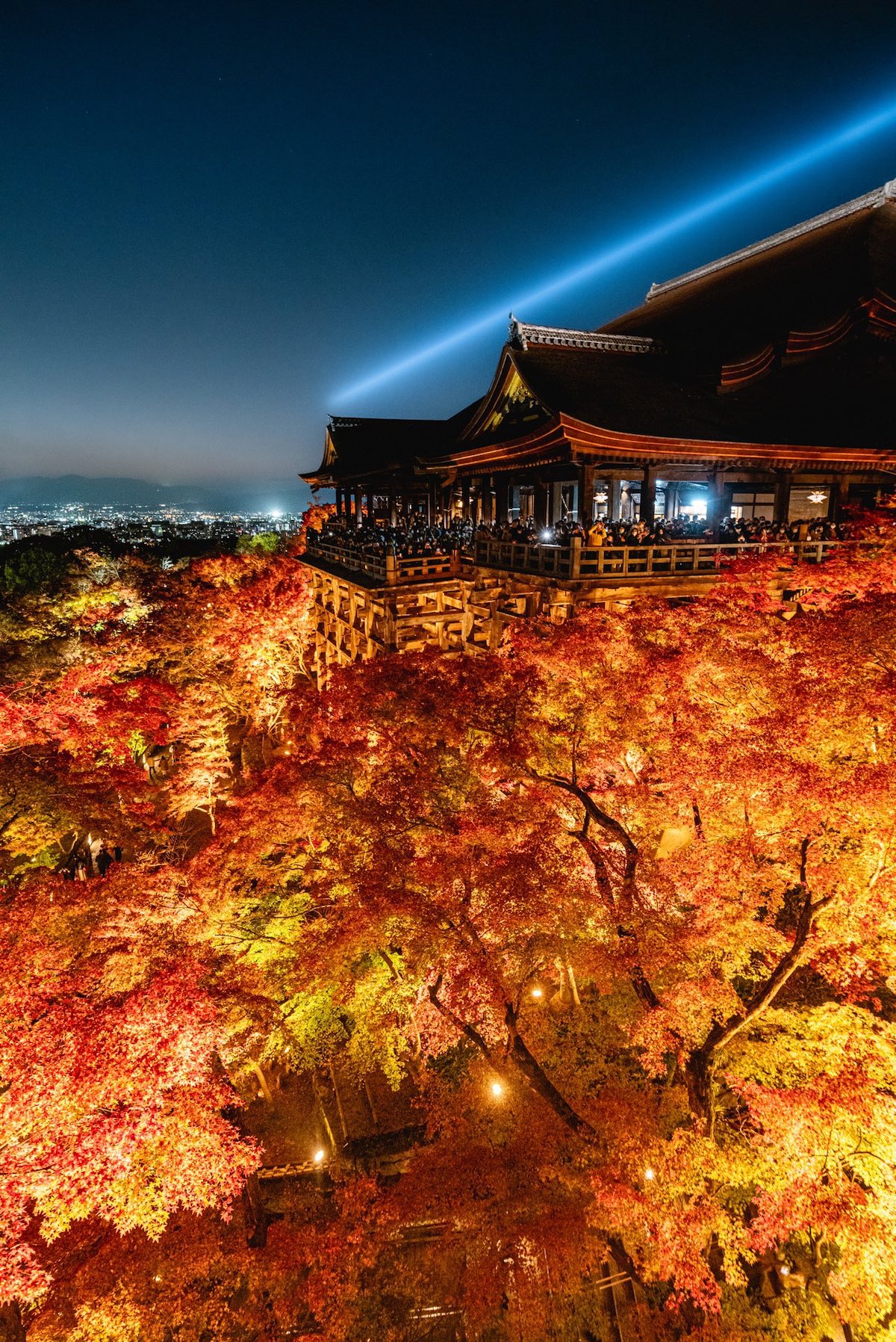 清水寺の限界突破した紅葉が目を見張る美しさ 見事な絶景に感動の声続々 l sn221024kiyomizu ねとらぼ