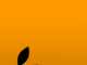 news015.gif