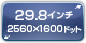29.8C` 2560~1600hbg