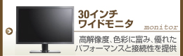 30�C���`�@���C�h���j�^