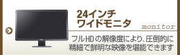 24�C���`�@���C�h���j�^