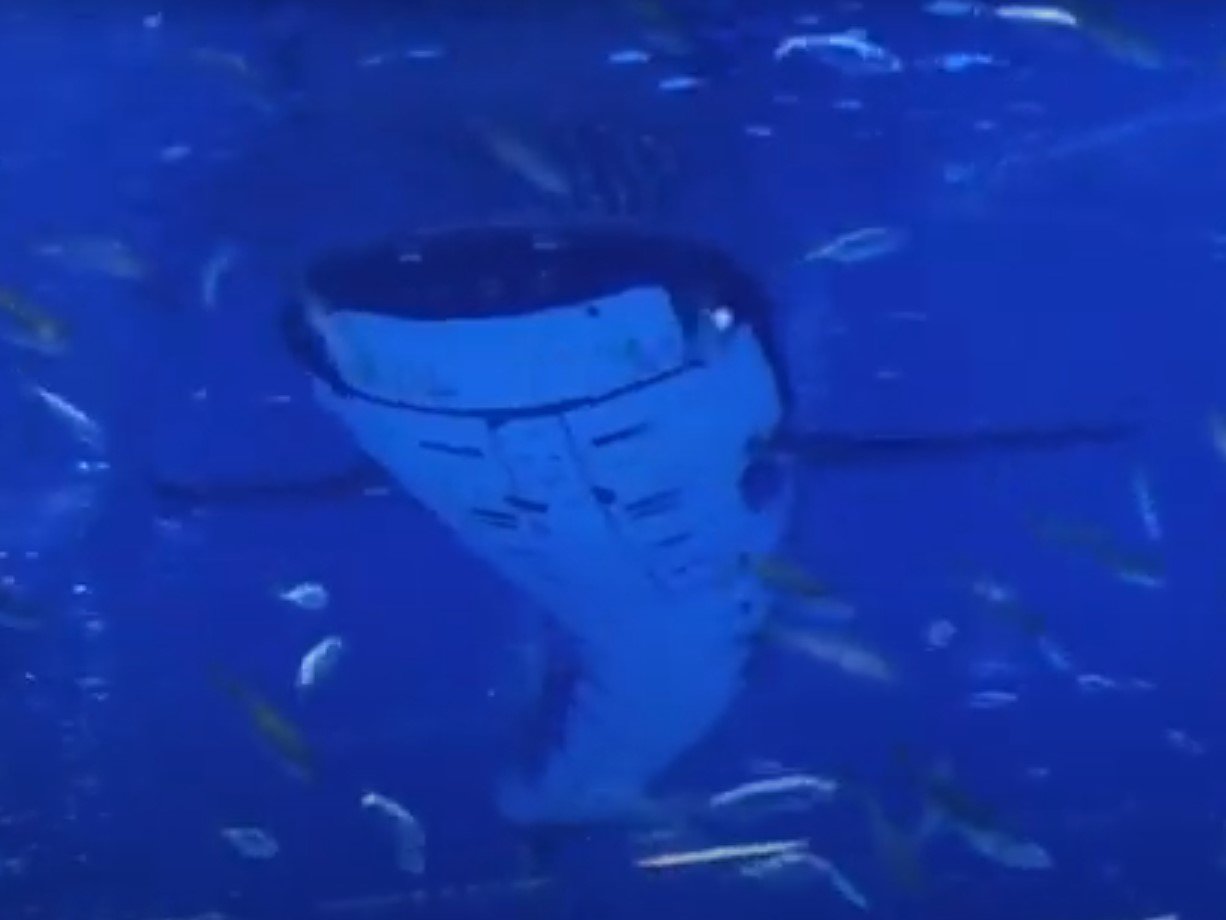 水槽で泳ぐ“メカジンベエザメ” ある中国の水族館がXで話題に 一体なぜ
