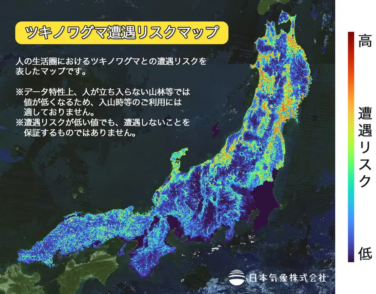 相次ぐクマ被害、“危険な場所”の特徴は？ AI活用の「クマ遭遇リスク