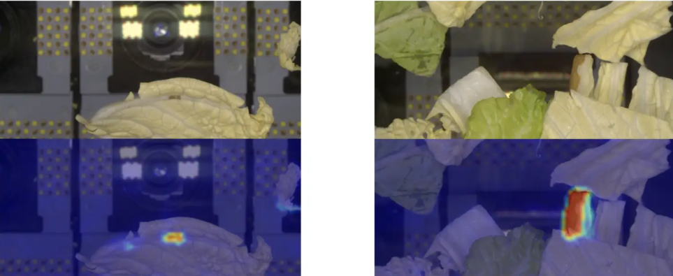 画像が削除されました