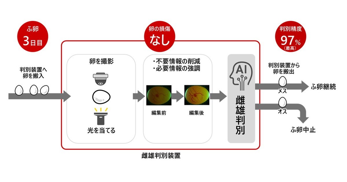 画像が削除されました