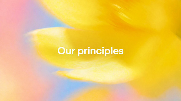  principles