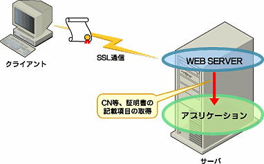 図2　Webサーバから証明書の情報を取得することができる
