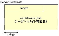 図38　Server Certificateメッセージのフォーマット