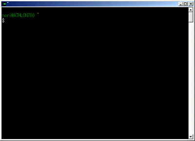 画面6　Cygwinが起動した画面。loginプロンプトも表示されず、いきなりbashが起動する