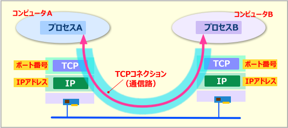 TCPの通信モデル