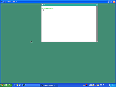 画面5　startxwin.shの実行画面。1024×768ドットでウィンドウが開く。ウィンドウマネージャはtwmで、xtermが実行される
