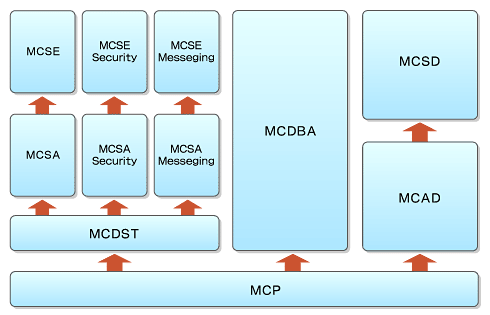 図1　従来のMCPの資格制度は複雑化してきた