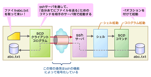 図1　scpの利用イメージ
