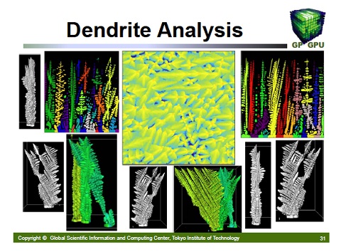 Dendrite Analysis