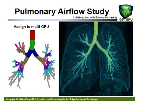 Pulmonary Airflow Study2