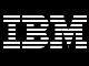 |[gFCIȌd_́gڋqx̌hɁ\\IBM