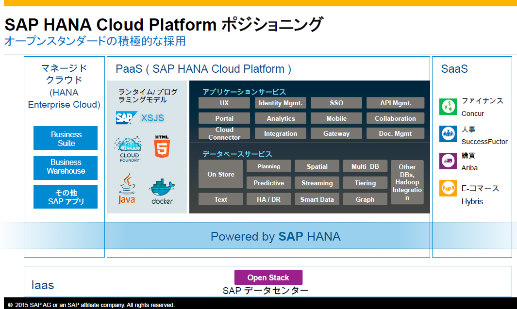 }1@SAP HCP̃|WVjOi\j