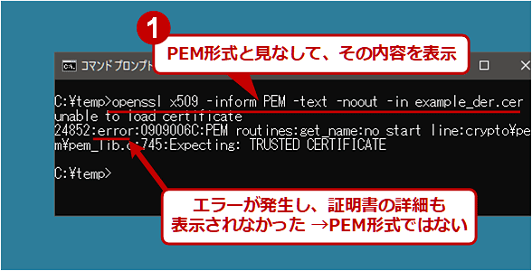 OpenSSLR}hŏؖt@CǂmFiPEM`ł͂Ȃꍇj