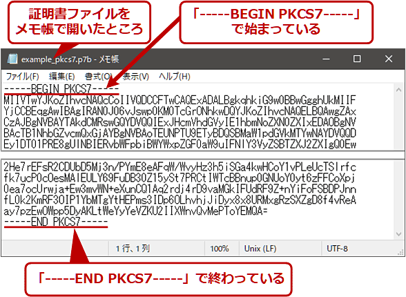 PKCS #7`̏ؖt@C̗iBase 64GR[hj