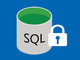 uSQL Server Data ToolsvASQL Server 2016Ȃǂɓڂu펞Ív@\ɑΉ
