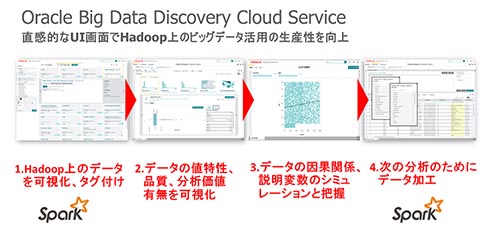 Oracle Big Data Discovery Cloud Serviceɂ