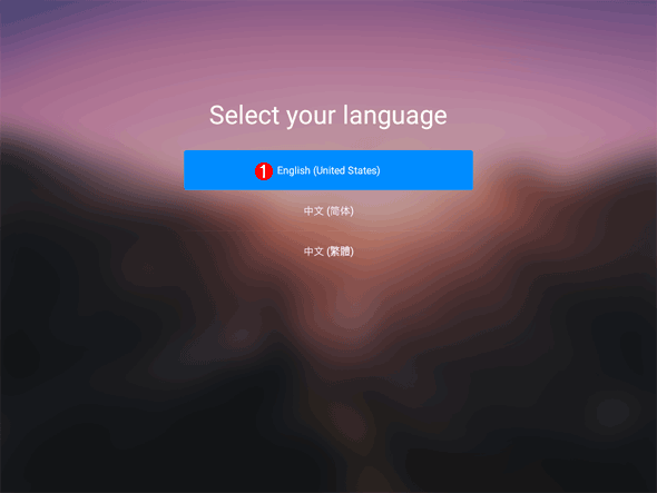 「Select your language」画面