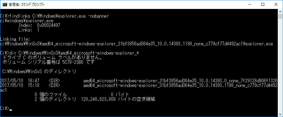 10@uC:\Windows\WinSxSvfBNgɂ͕o[ẂuExplorer.exev邪AuC:\Windows\Explorer.exev͍ŐVo[WɃn[hNĂ