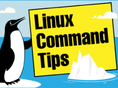 Dig コマンド ドメイン名からipアドレスを調べる Linux基本コマンドtips 158 It