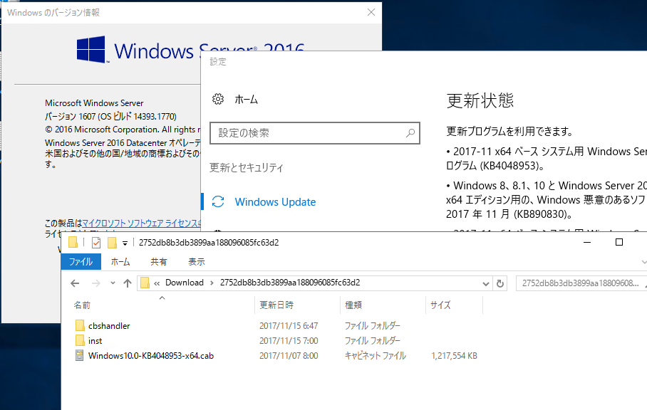 4@Windows Server 2016ɂ́A2017N11̗ݐϓIȍXVtt@Ci1GBj`Ŕzzꂽ