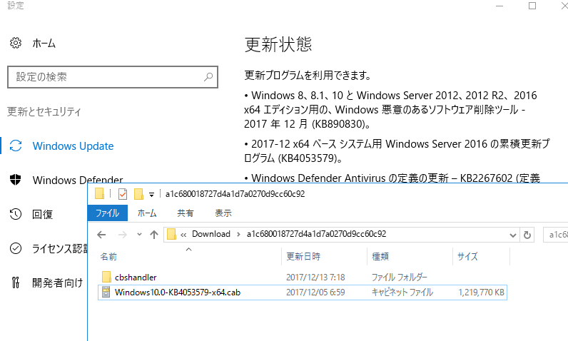 2@Windows Server 2016ɂ́A2017N1112tTCY̍XVpbP[Wzzꂽi{ł΁uWindows10.0-KBXXXXXXX-x64-EXPRESSS.cabvƂȃTCYŔzzj
