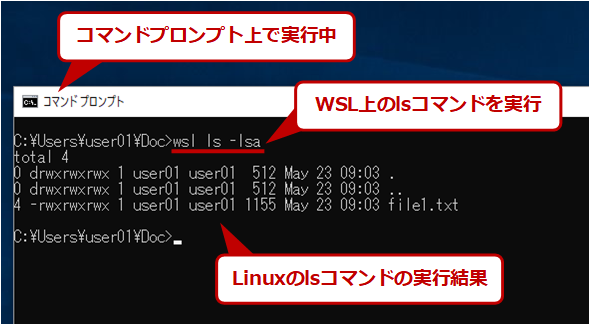 WSL̃R}h̎s