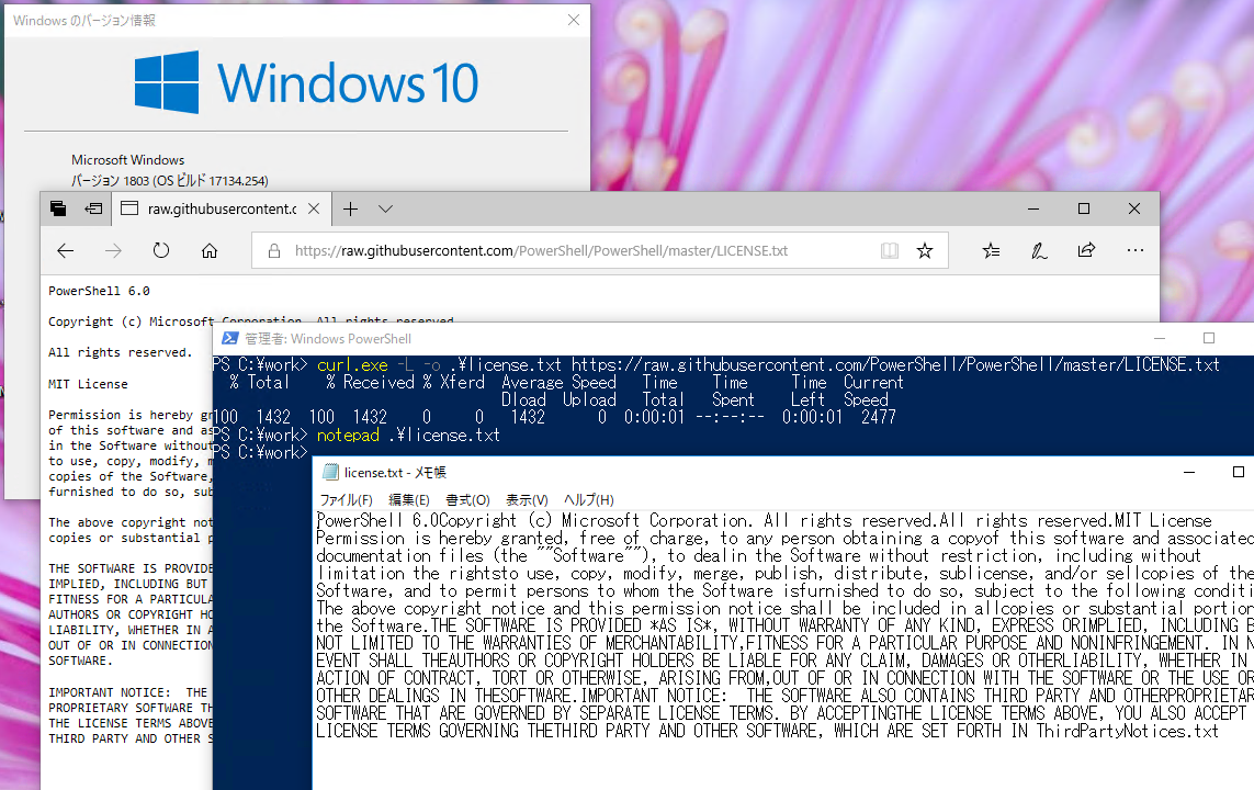 2@Windows 10 o[W1803ȑṌAWindowsẂuCR+LFv̉sR[hFłȂ߁A_E[heLXgt@CJƁAȏ󋵂Ɍ邱Ƃ