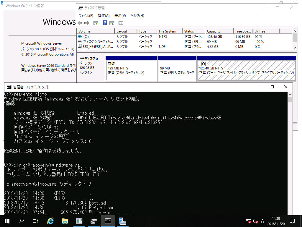 1@p[eBV\WindowsZbgAbvɔCĐVKCXg[Windows Server 2019iUEFI^GPTVXȅꍇjBWinREC:hCuɃZbgAbvĂB񕜃p[eBV͋ۂ̏