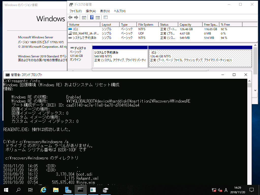 2@p[eBV\WindowsZbgAbvɔCĐVKCXg[Windows Server 2019iBIOS^MBRVXȅꍇjBWinREC:hCuɃZbgAbvĂ