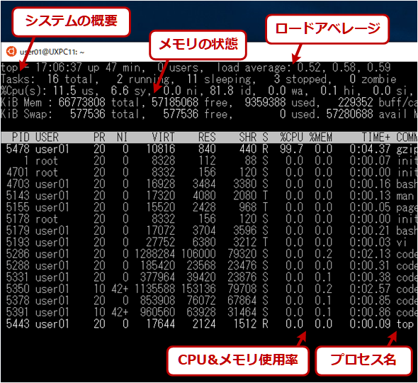 まとめ Wslでプロセスの一覧を確認する方法 Tech Tips It