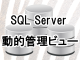 SQL Serverの動的管理ビューとは？