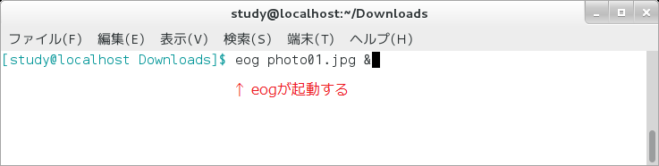Eog コマンド 画像ファイルを表示する Linux基本コマンドtips 303 It