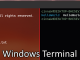 Microsoft、「Windows Terminal Preview v0.7」を公開