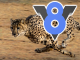 オープンソースのJavaScript／WebAssemblyエンジン「V8 release v8.0」が公開